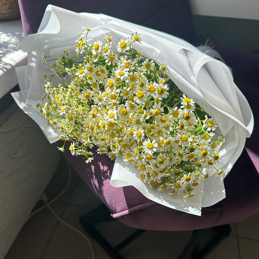 Veranda Flower