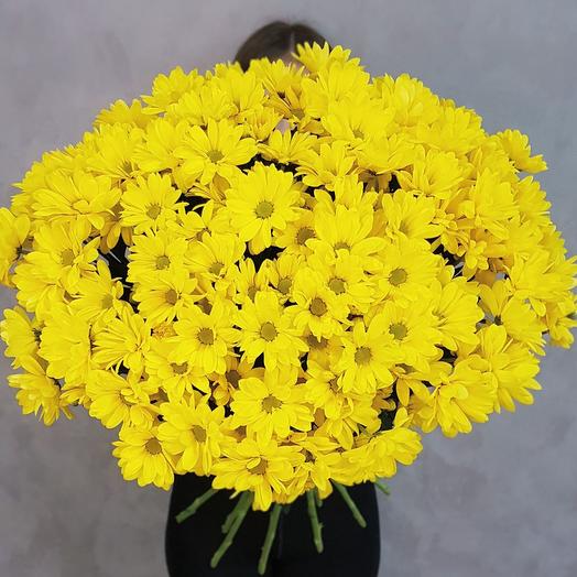 15 желтых хризантем