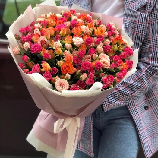 Bush Rose Mix
