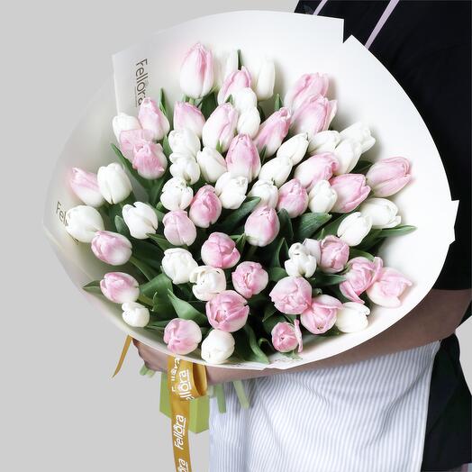 51 Pink And White Tulips
