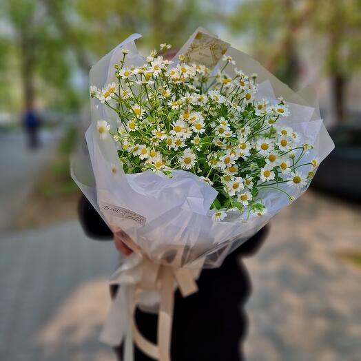 Camilla Chamomile Field Complement