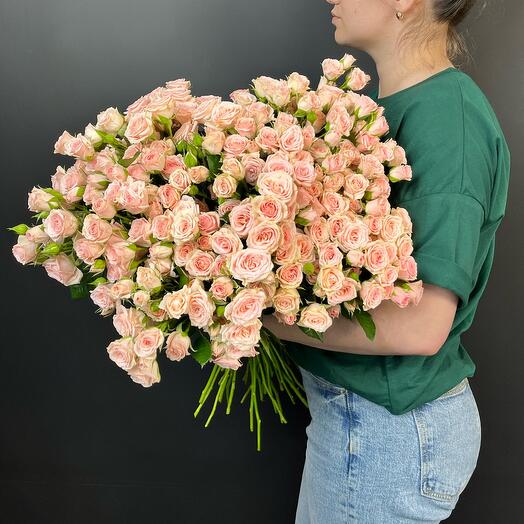 Monobucket of 51 Bush roses