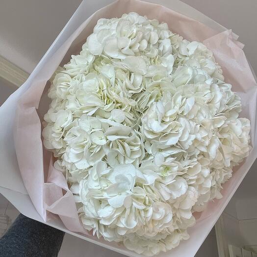White hortensia 7 flowers