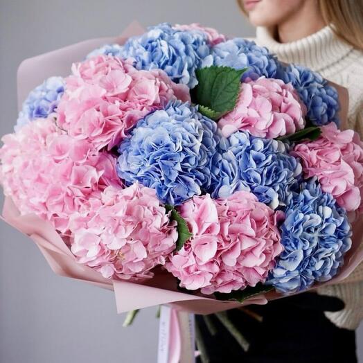 Bouquet of hydrangeas 17 pieces