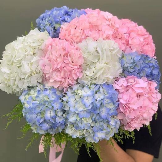 Bouquet of assorted hydrangeas and vegetation