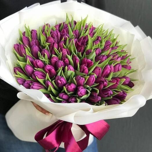 Фиоллетовые  тюльпаны  101