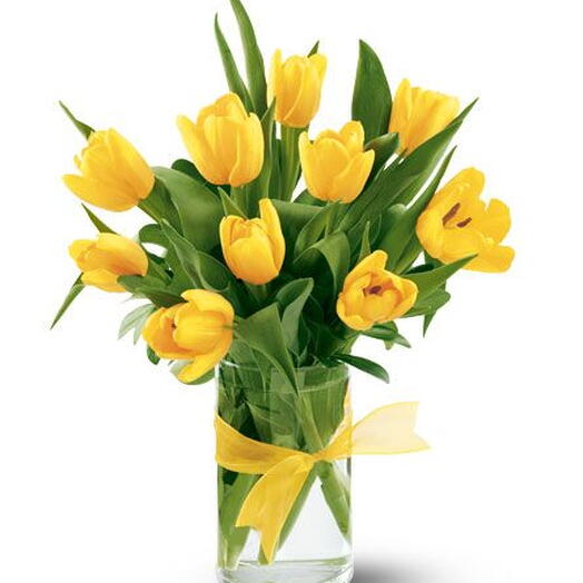 11 Yellow Tulips In a Vase