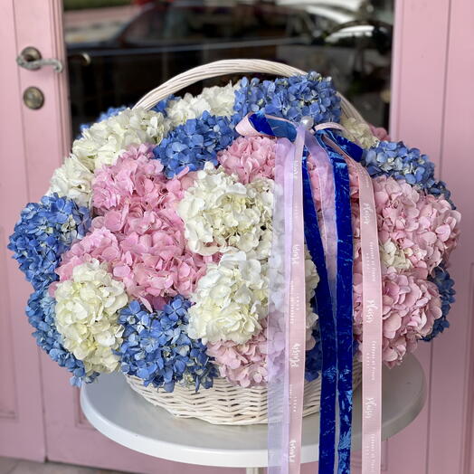 Basket - 71 Hydrangeas