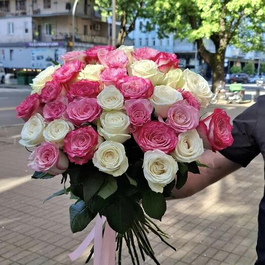 31  rose