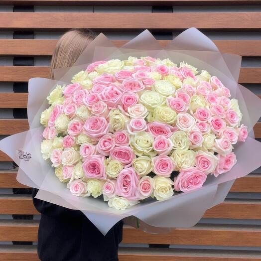 101 роза «Ангел»