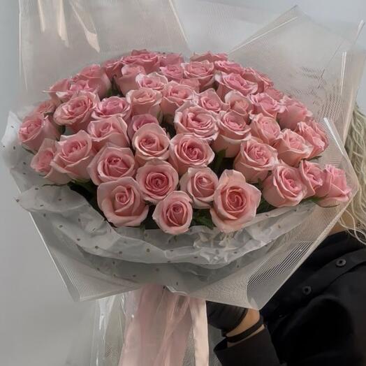 Роза Россия pink