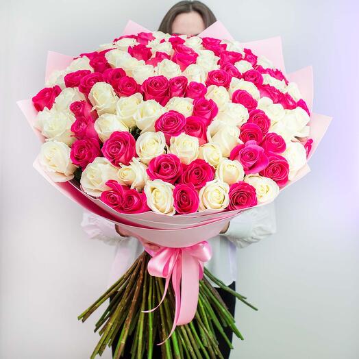 101 white and pink roses Holland 90cm