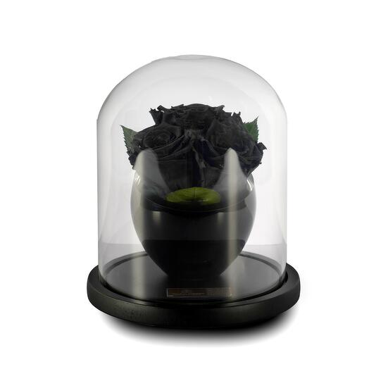 Black Preserved Roses in crystal vase Trio