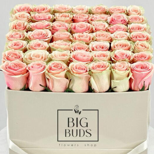 Pink roses box