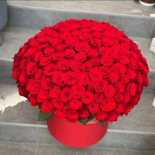 151 red rose in box