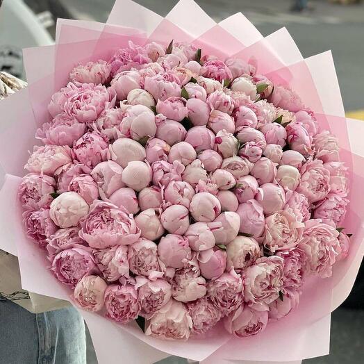 Bouquet of pink peony