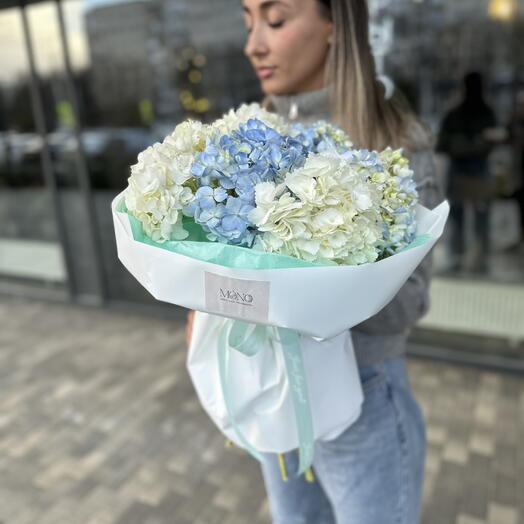 7 нежных гортензий