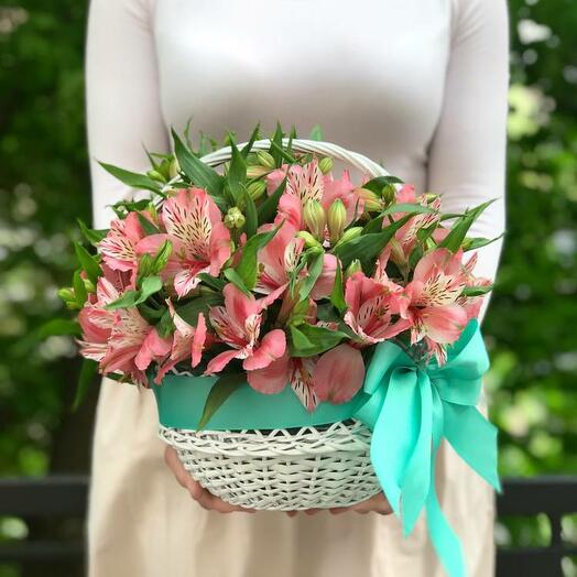 Alstroemeria in the Basket "My Beloved"