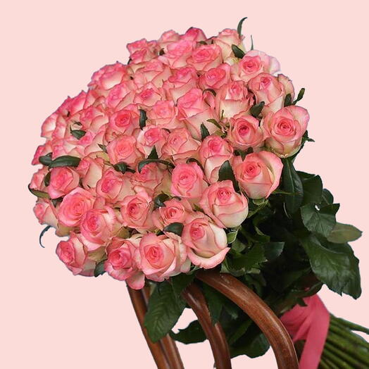 50 Pastel Pink Roses