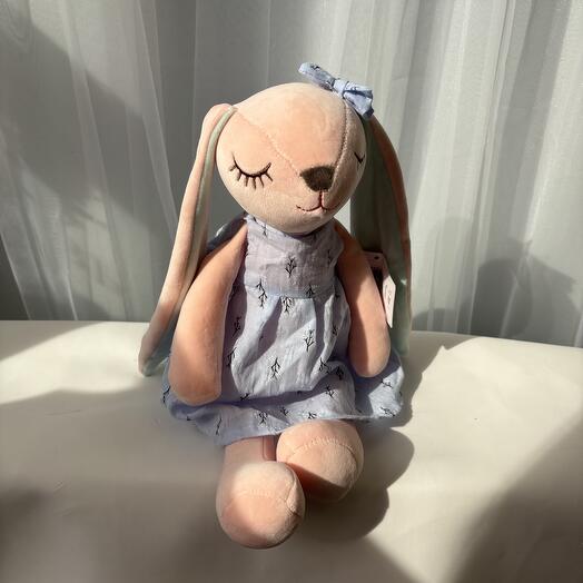 Солнечный зайчик