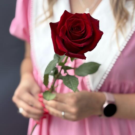 Hab flowers