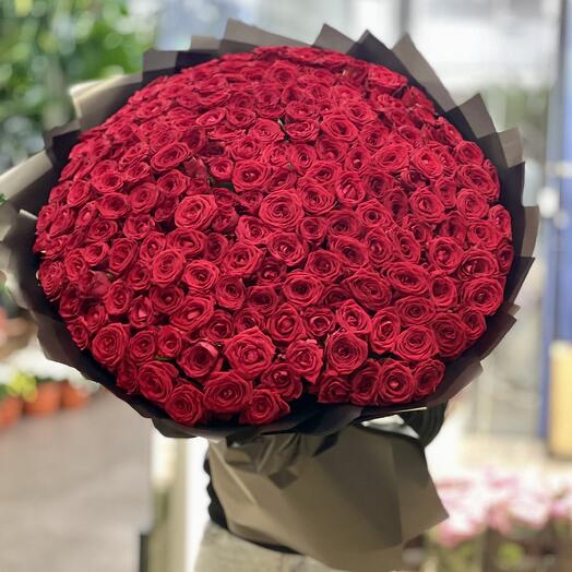 No Name 🌹