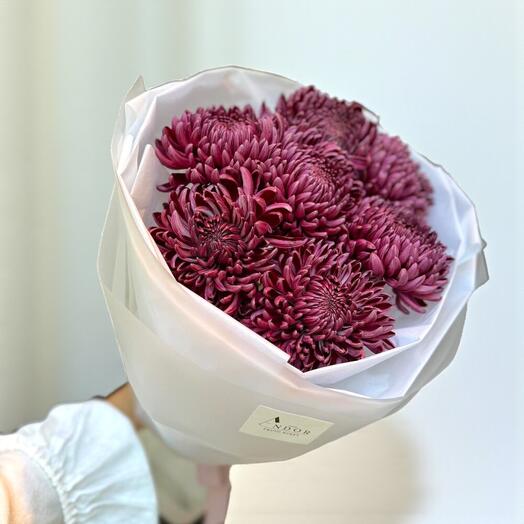 Монобукет из винных хризантем — 7 шт