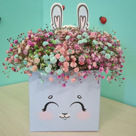 Gypsophila in a box Cute bunny