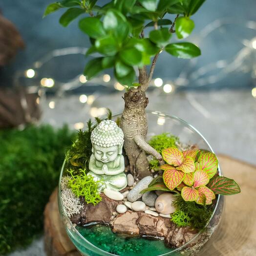 Hemisferio M con Ginseng, lago y Buda - 028