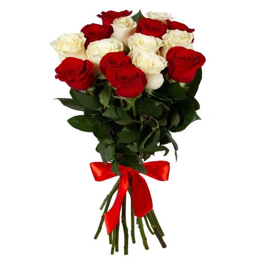 15 Red And White Roses