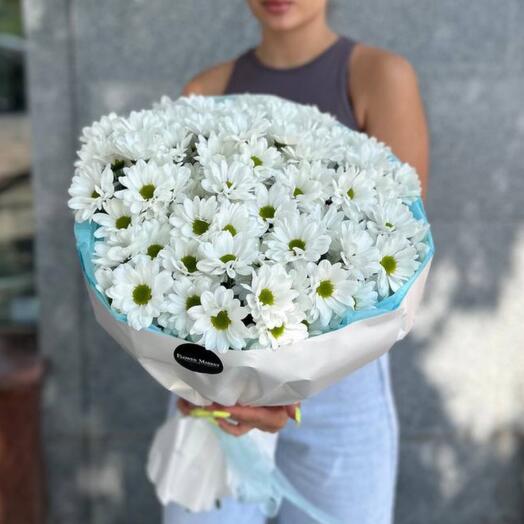 Хризантема