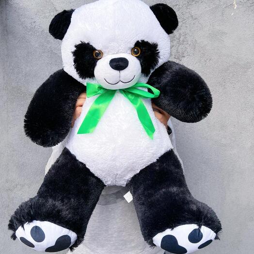 Spbbear