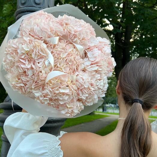 Pink hydrangeas