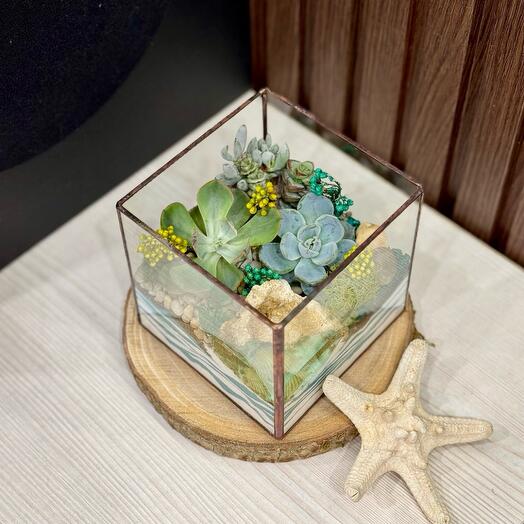 Композиция с множеством суккулентов и водоемом подарок