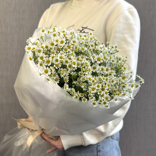 LOVI BUKET