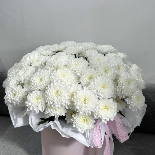 FloWers24