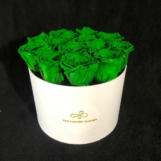 Green Infinity Roses in White Box