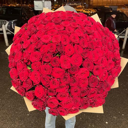 Букет 151 Роза Ред Наоми 🌹