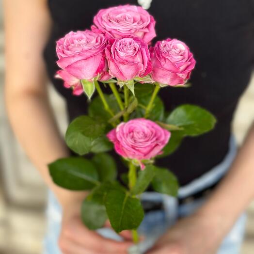 Кустовая пионовидная Роза Модам Бомбастик💗