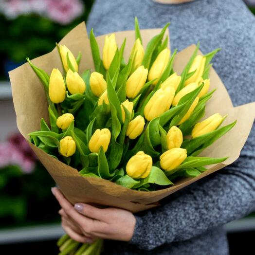25 Yellow Tulips Bunch