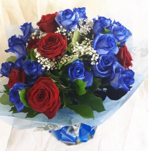 Blue   Red Roses