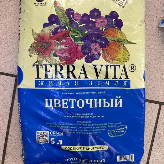 Studiya Lavanda