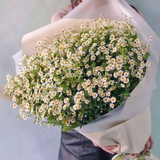 Bouquet of 51 chamomile