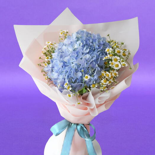 Blue Hydrangea with Daisies