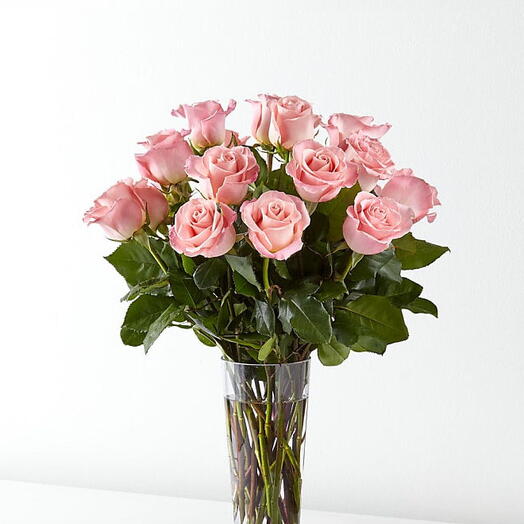 Pink rose in vase