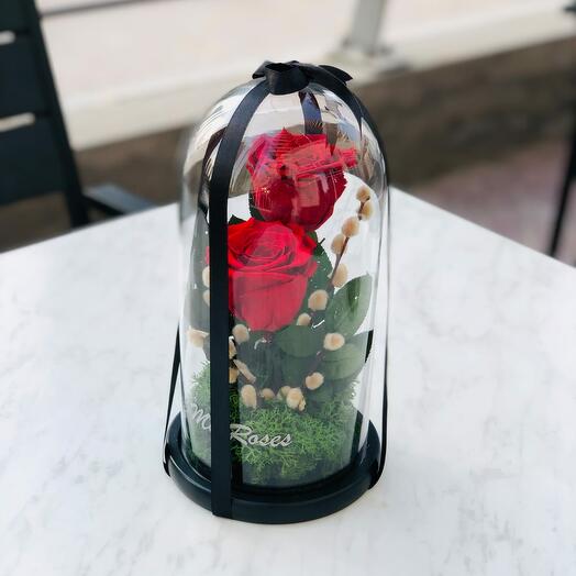 Twin Red Forever Roses (Medium)