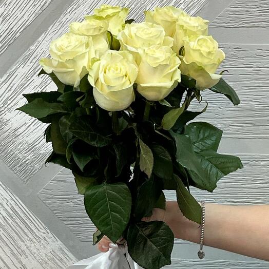 Роза белая 9