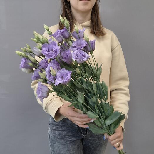 Лавандовый лизиантус