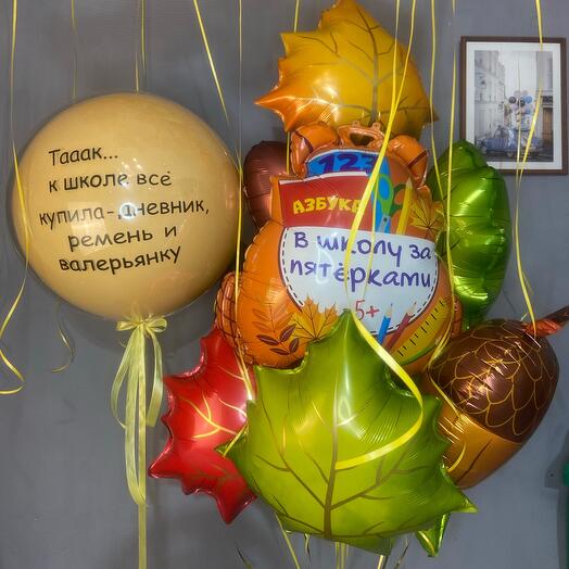 Шары к школе