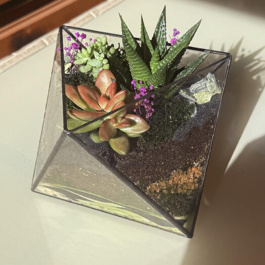 FloRoom 